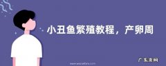小丑鱼繁殖教程，产卵周期为15天左右