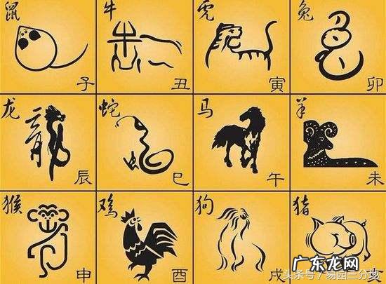 亥年亥月亥日亥时出生命运