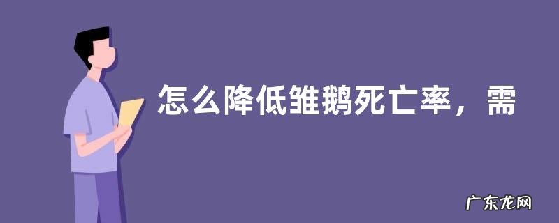 怎么降低雏鹅死亡率，需根据强弱进行分群养殖