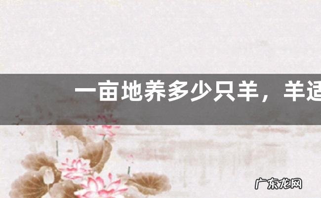 一亩地养多少只羊,羊适合什么牧草
