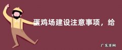 蛋鸡场建设注意事项，给鸡舍通风很重要