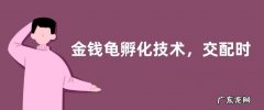 金钱龟孵化技术，交配时间在每年9