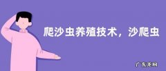 爬沙虫养殖技术，沙爬虫需氧量较大