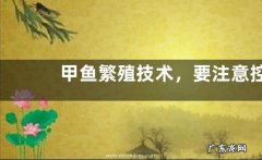 甲鱼繁殖技术，要注意控制好孵化的温湿度