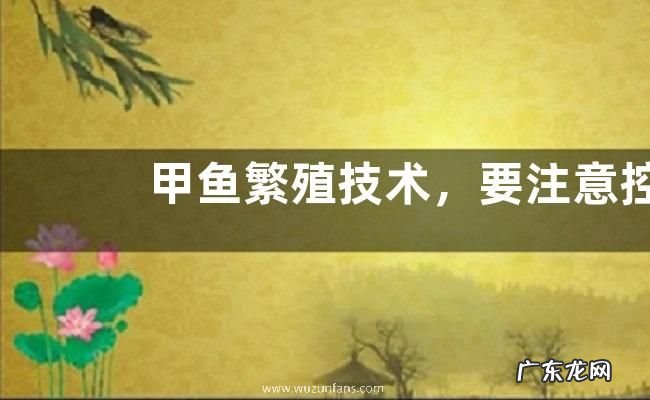甲鱼繁殖技术,要注意控制好孵化的温湿度