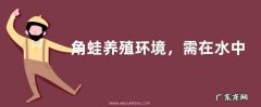 角蛙养殖环境，需在水中饲养，但水不宜过深