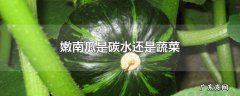 嫩南瓜是碳水还是蔬菜
