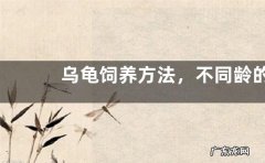 乌龟饲养方法，不同龄的乌龟应该分开饲养