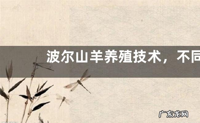 波尔山羊养殖技术,不同的季节的喂养方式不同