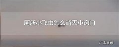 厕所小飞虫怎么消灭小窍门