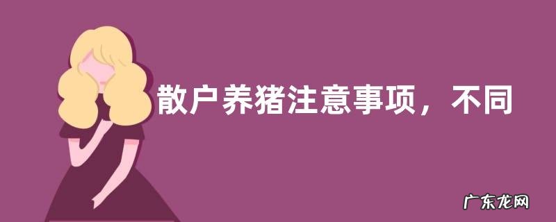 散户养猪注意事项,不同生长阶段的饲料配比不同