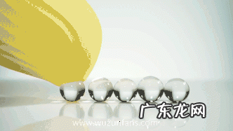 逗逗鸟要进去身体吗