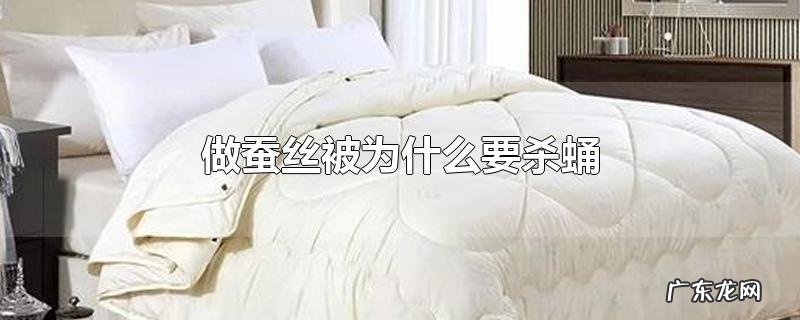 做蚕丝被为什么要杀蛹