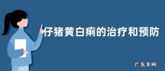 仔猪黄白痢的治疗和预防，附发病特点和原因