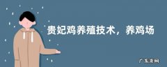 贵妃鸡养殖技术，养鸡场应远离居住区