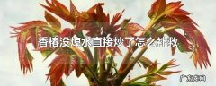 香椿没焯水直接炒了怎么补救