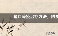 猪口蹄疫治疗方法，附发病症状和传播方法