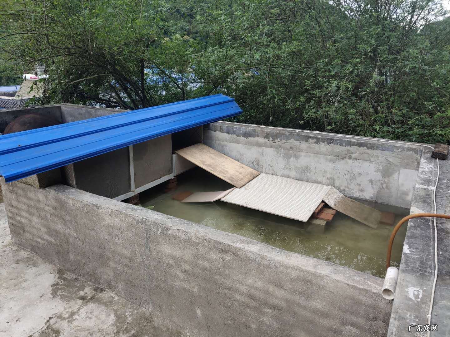 楼顶龟池防水怎么做 楼顶做龟池怕影响风水么