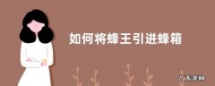 如何将蜂王引进蜂箱