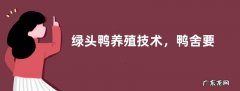 绿头鸭养殖技术，鸭舍要远离居民区