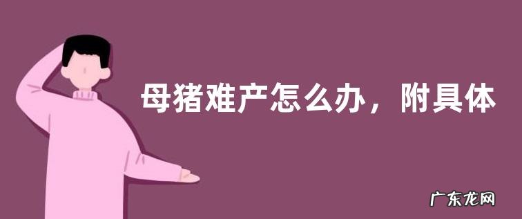 母猪难产怎么办,附具体的解决办法