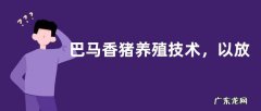 巴马香猪养殖技术，以放养模式为主