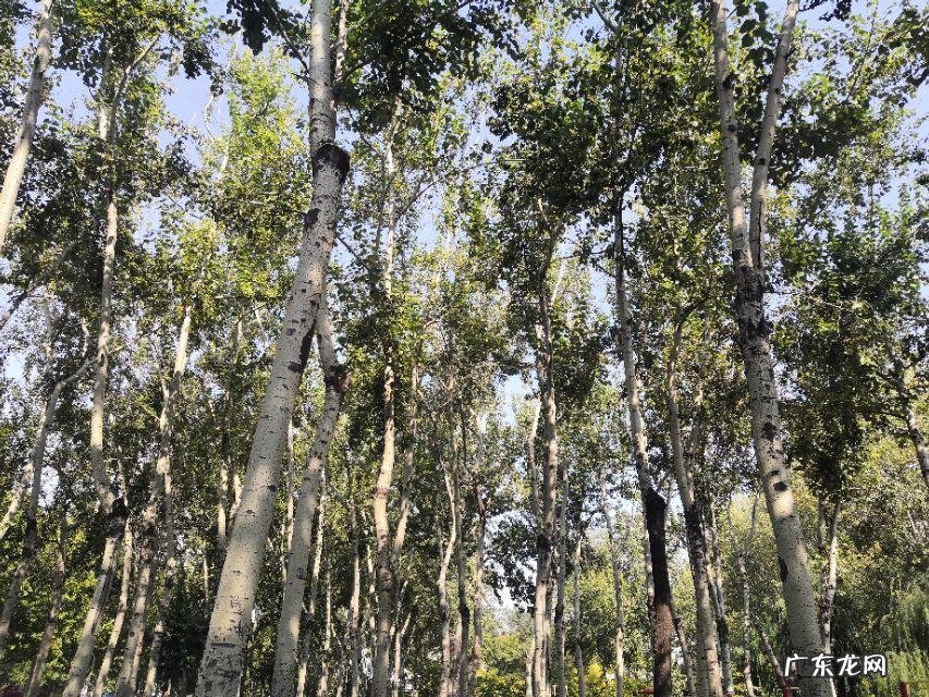 风水什么叫动土 2022年风水运势