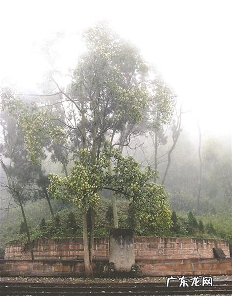 玉屏山风水怎么样