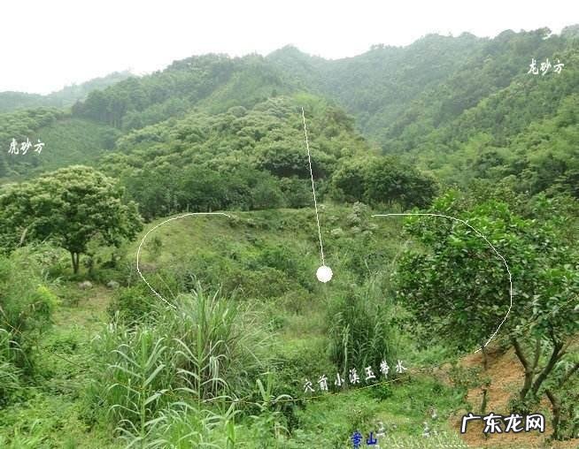 容易宋风水