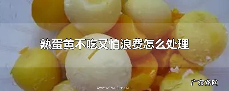 熟蛋黄不吃又怕浪费怎么处理
