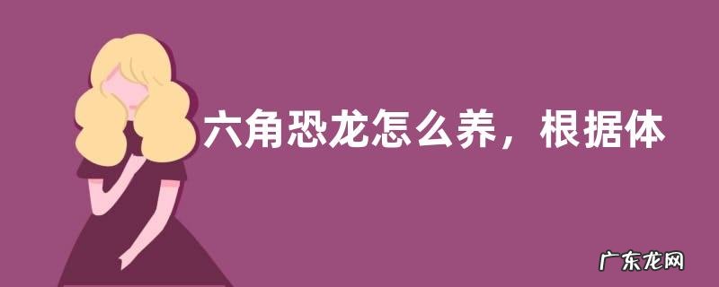 六角恐龙怎么养,根据体型的大小选择养殖箱