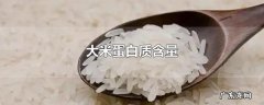 大米蛋白质含量