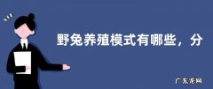 野兔养殖模式有哪些，分别介绍圈地养殖、室内笼养、圈地兔舍结合和放养