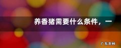 养香猪需要什么条件，一般用绿色饲料饲养