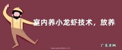 室内养小龙虾技术，放养前做好消毒工作