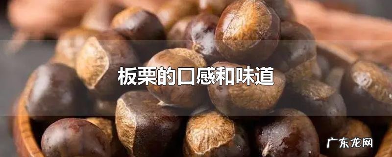 板栗的口感和味道