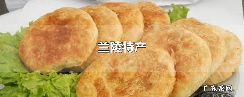 兰陵特产