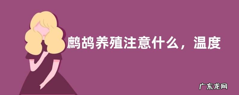 鹧鸪养殖注意什么,温度、光照、环境和饲养方面都需要注意