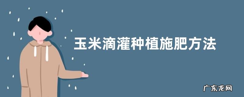 玉米滴灌种植施肥方法