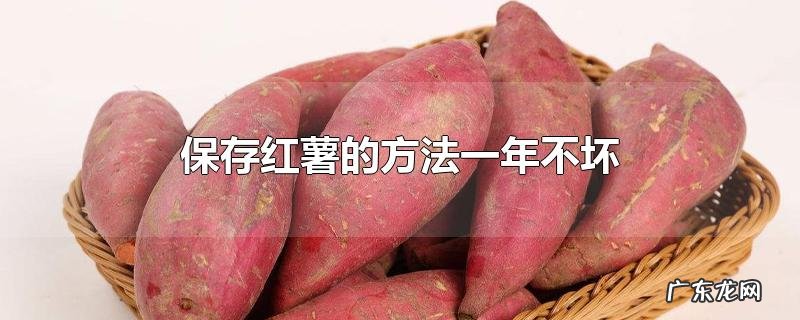 保存红薯的方法一年不坏