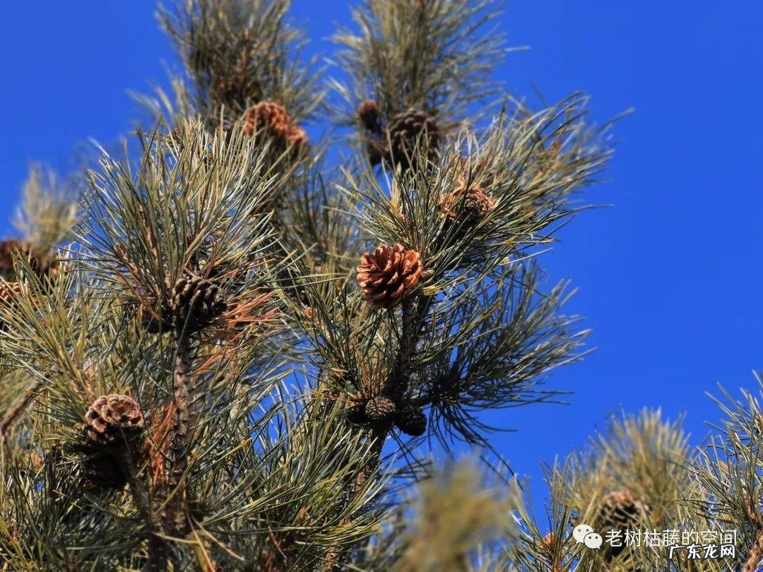 丹阳双庙村风水如何