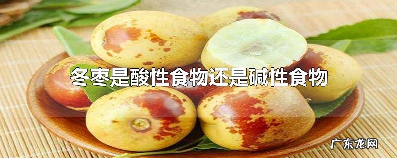 冬枣是酸性食物还是碱性食物