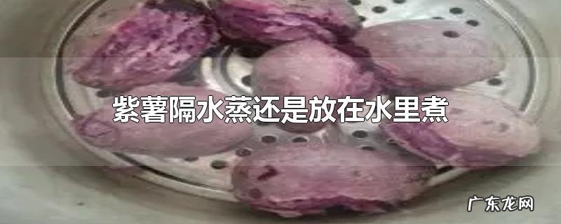 紫薯隔水蒸还是放在水里煮