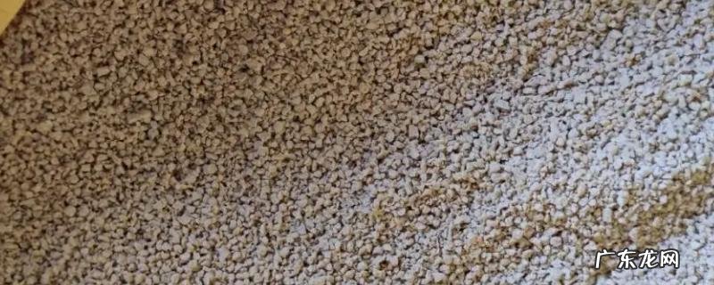 什么饲料可以让鹌鹑多下蛋