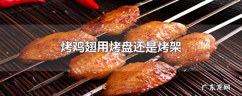 烤鸡翅用烤盘还是烤架