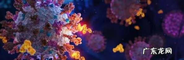 首个国产新冠殊效 首个国产新冠特效药获批