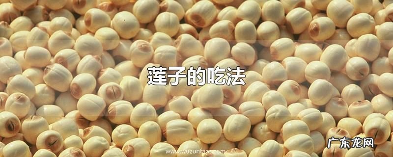 莲子的吃法