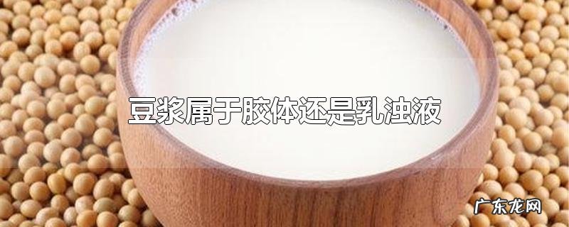 豆浆属于胶体还是乳浊液