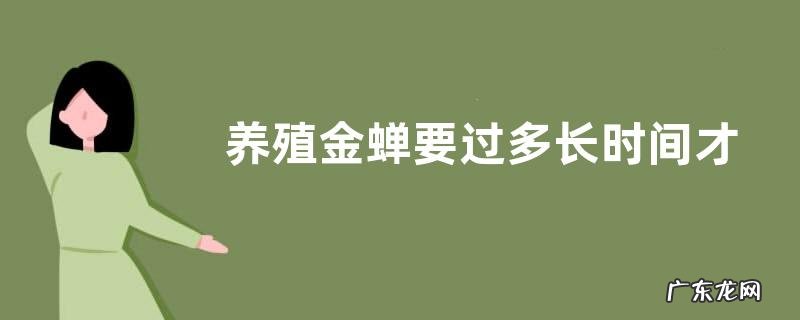 养殖金蝉要过多长时间才出土