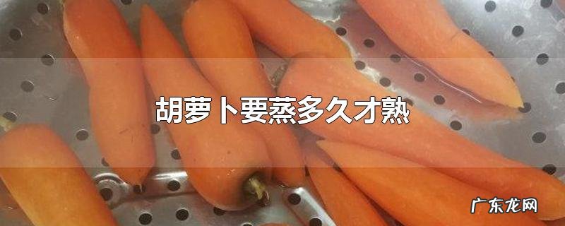 胡萝卜要蒸多久才熟